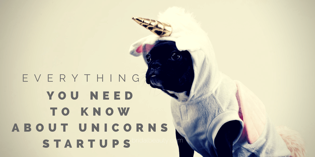 Aaron Vick - Everything You Need to Know About Unicorn Startups