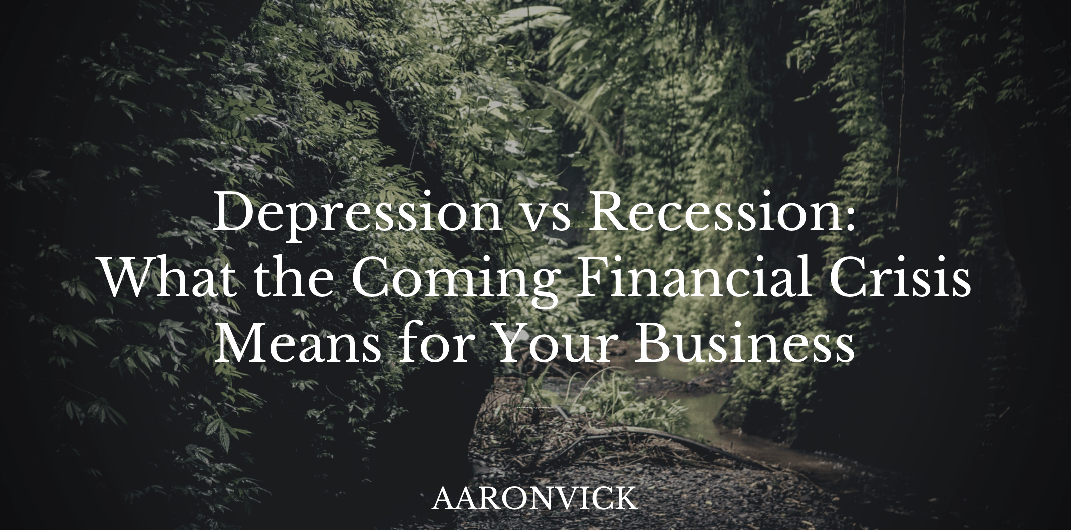 AaronVick-Depression vs Recession: What the Coming Financial Crisis Means for Your Business